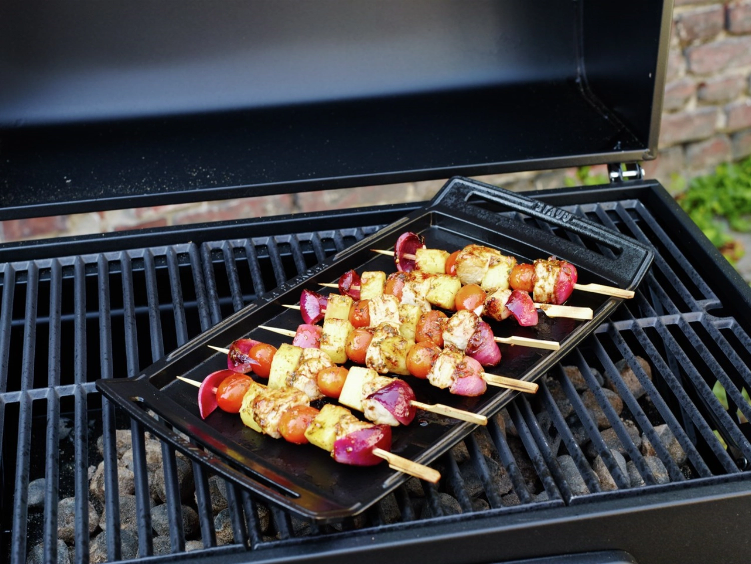 Teppanyaki- und Grill- Platte