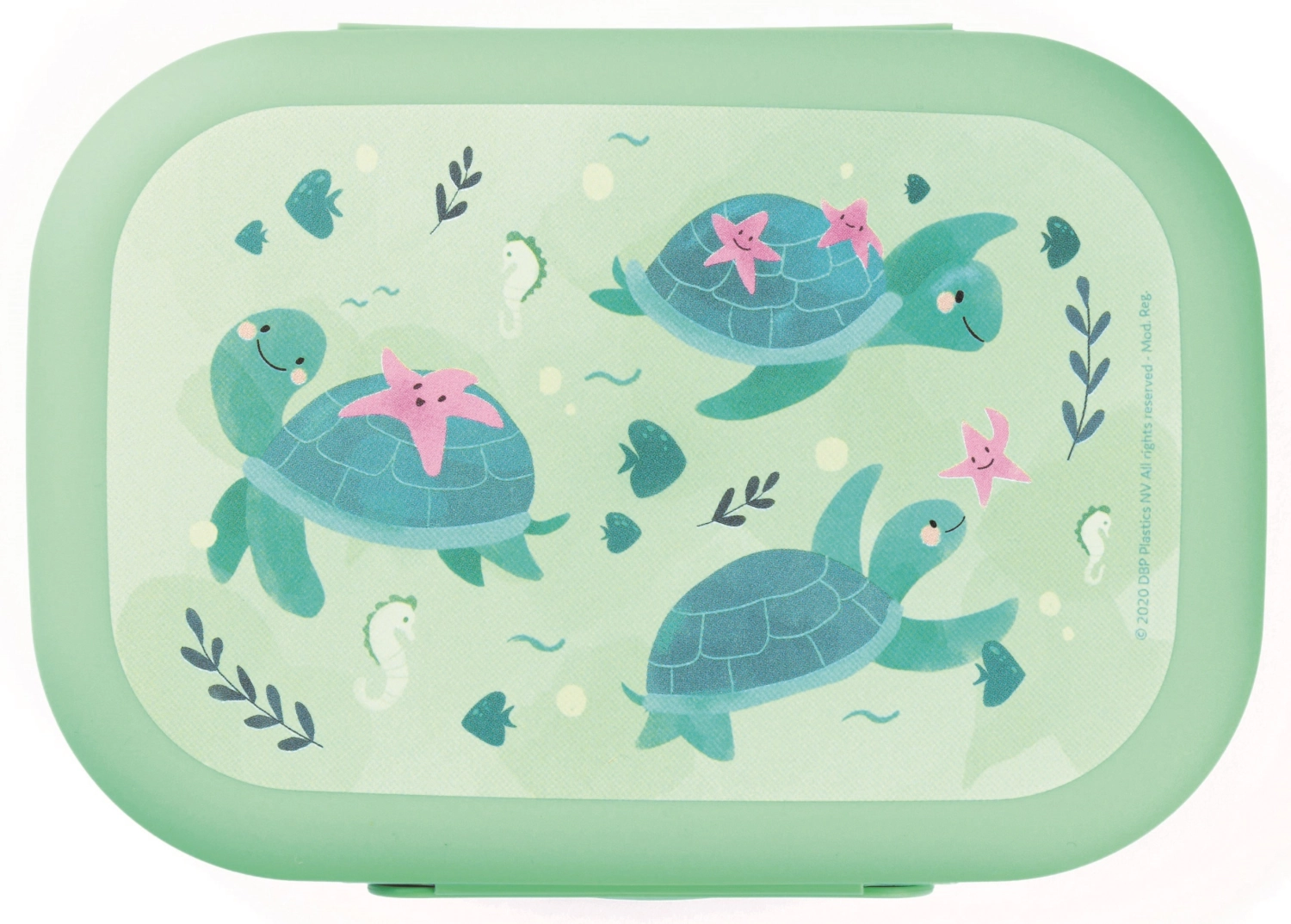 Sealife Lunchbox Schildkröte  180x132x50  Hellgrün