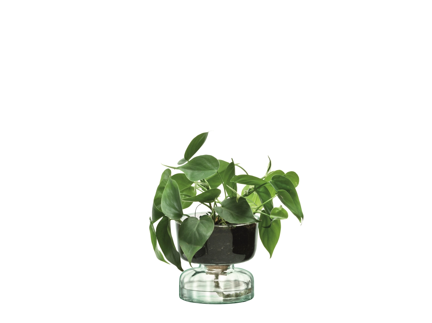 Canopy pot auto-arrosant h13cm - recy. optique