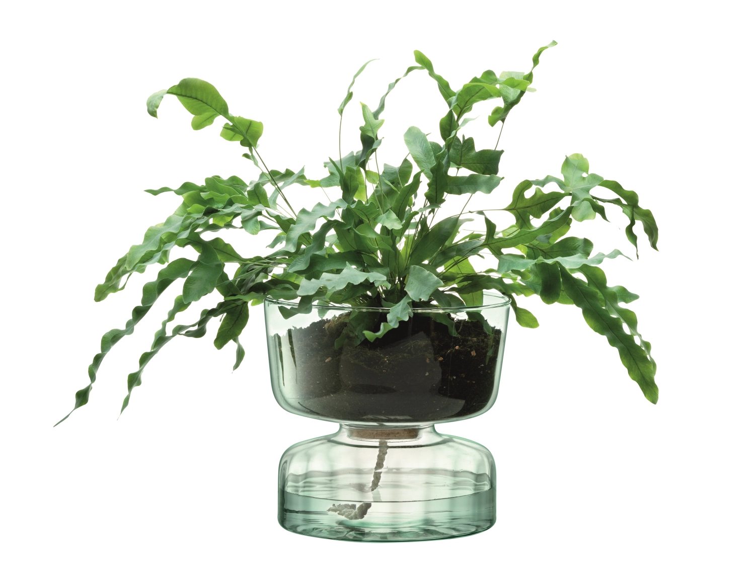 Canopy pot auto-arrosant h22cm - recy. optique