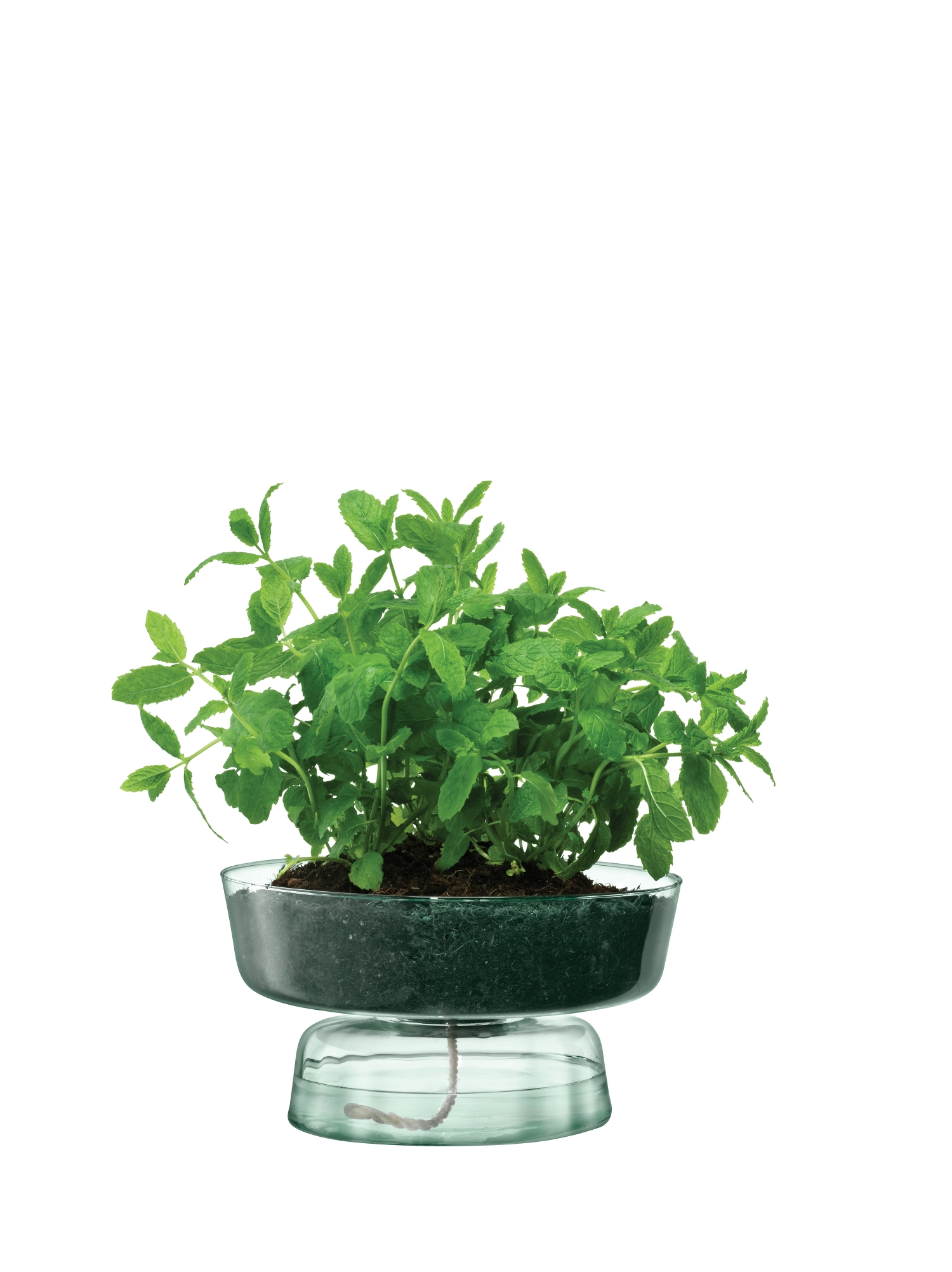 Canopy pot auto-arrosant h14.5cm recy. optique