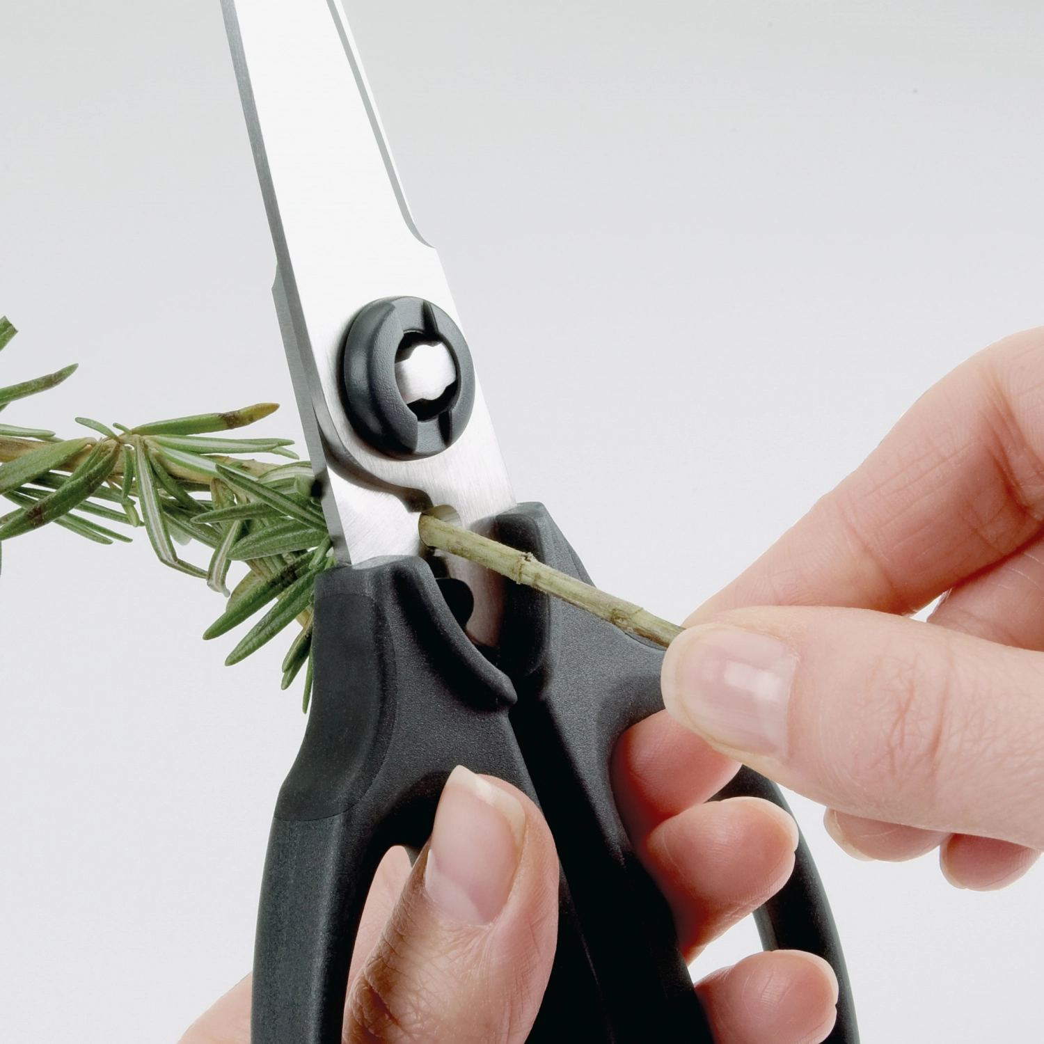 Ciseaux de cuisine à herbes, noir