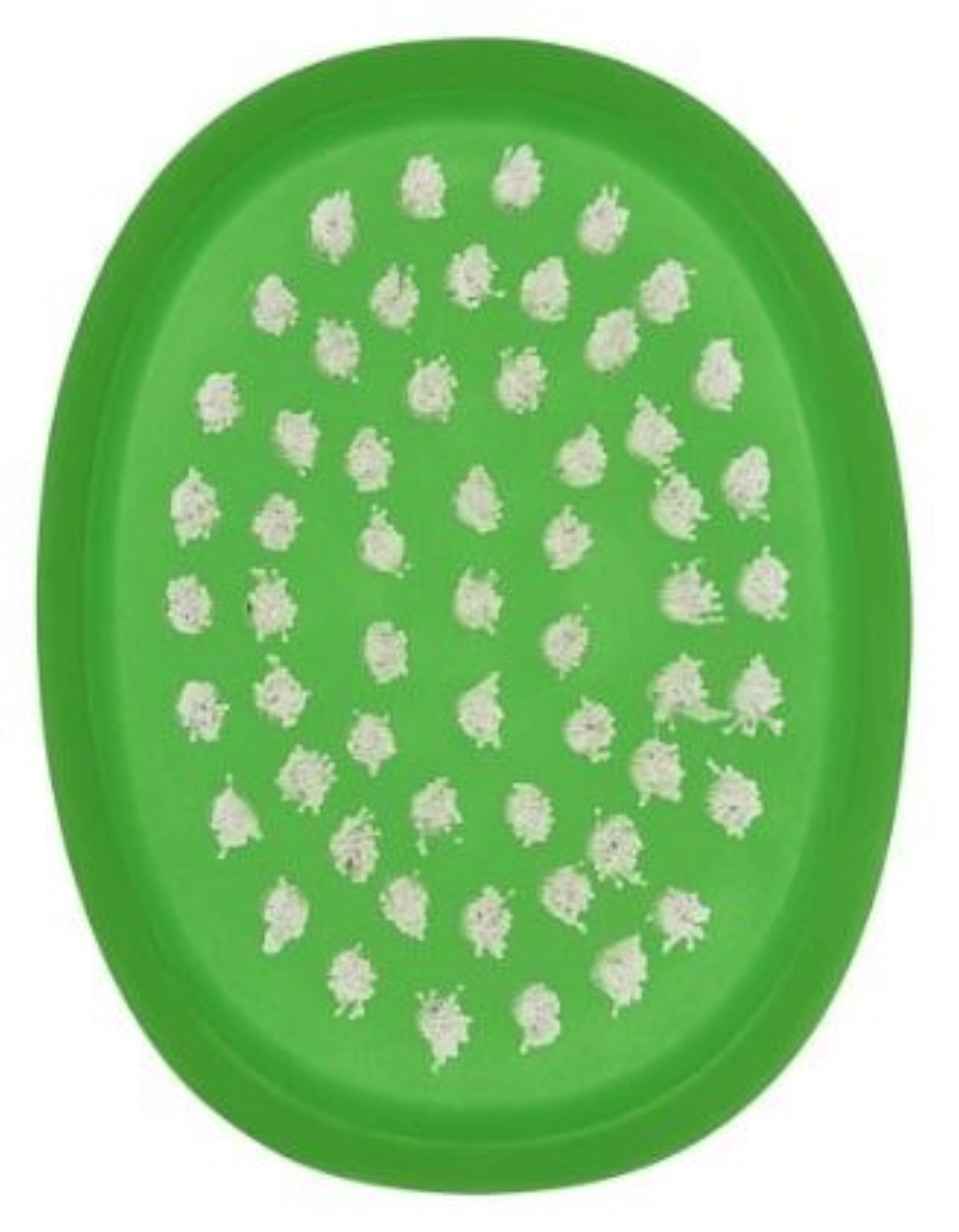 Brosse à légumes verte