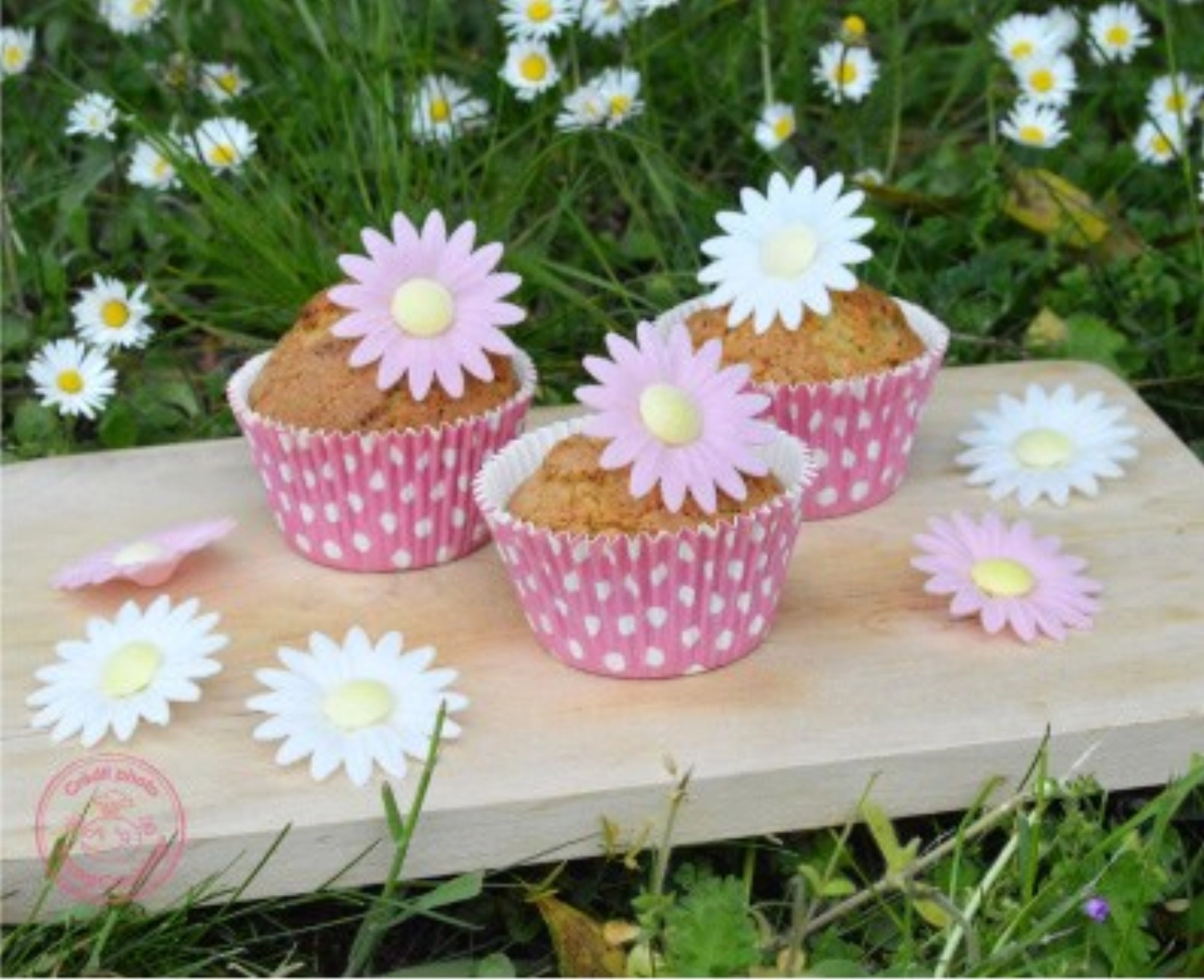 18 Stk. Zuckerdekor Gänseblümchen