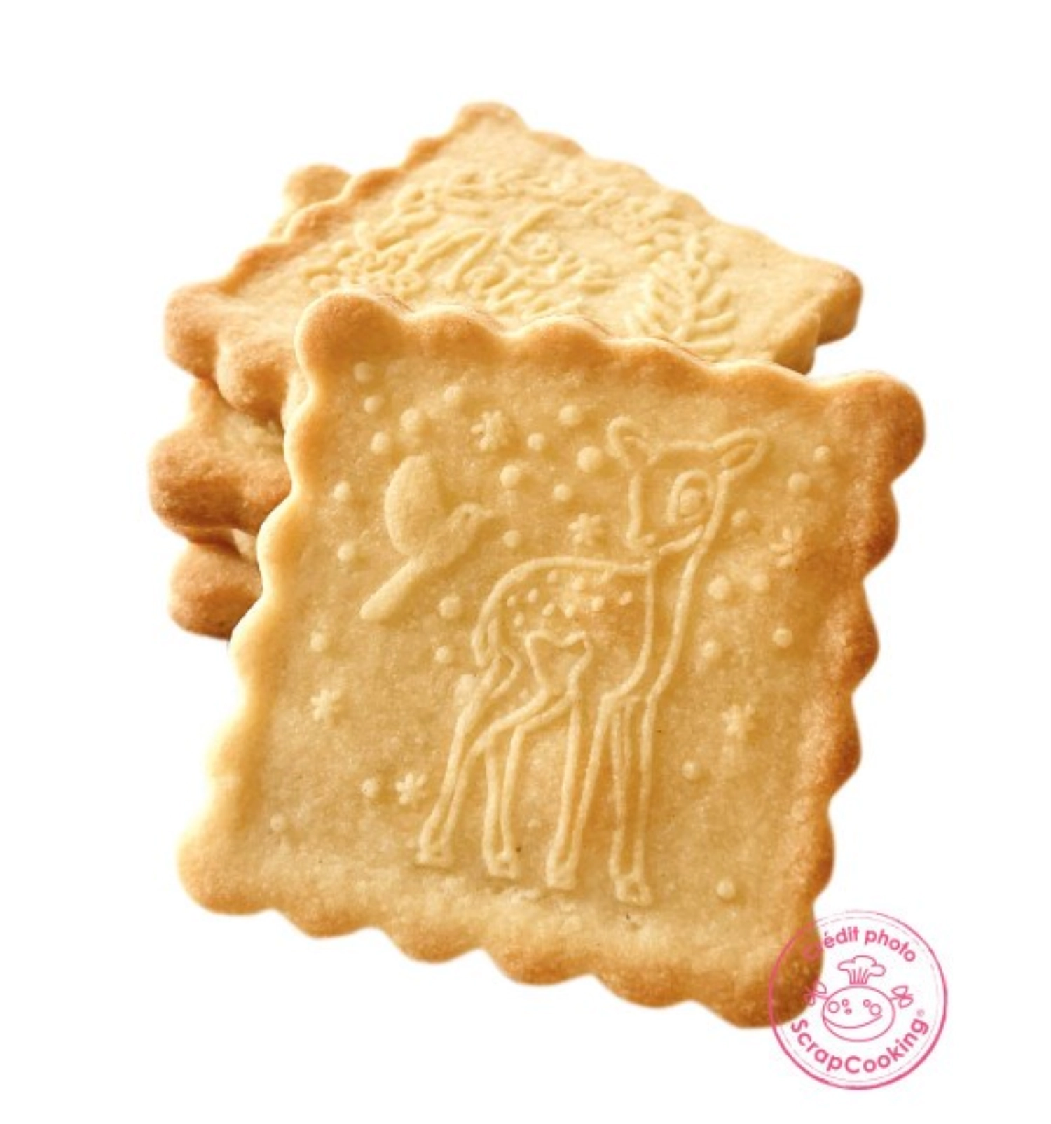 Tampon biscuit bois forêt enchantée + découpoir