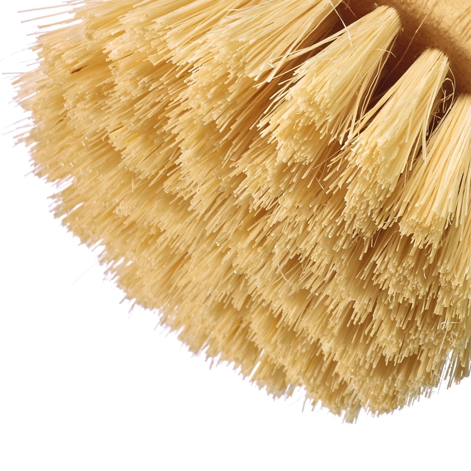 Brosse universelle